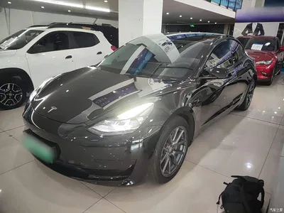2022 Tesla Model 3 Model Rear-Wheel Drive Version, фото 1, лот 11199483
