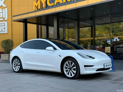 2019 Tesla Model 3 Standard Range Rear-Wheel Drive Upgrade, фото 3, лот 10674984