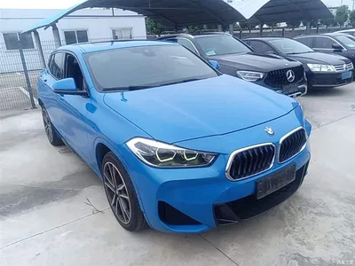 2020 BMW X2 sDrive25i Exclusive M Sport Package, фото 4, лот 10475817