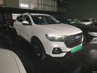 2023 Haval H6 National Trend Edition 1.5T Automatic Urban, фото 4, лот 10285605