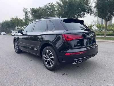 2024 Audi Q5L Model 40 TFSI Luxury Dynamic, фото 4, лот 11132563