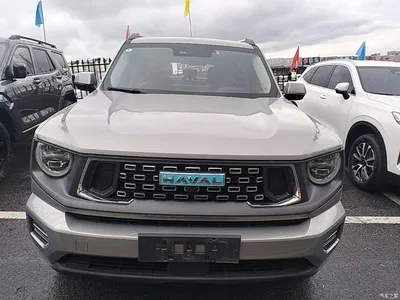 2023 Haval Second-Generation Big Dog New Energy DHT-PHEV 105km Trendy Electric Edition Plus, фото 3, лот 11183735
