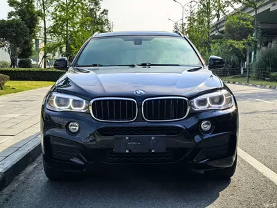 2018 BMW X6 xDrive35i Leading Model, фото 2, лот 10440166