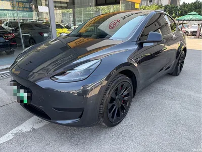 2024 Tesla Model Y Rear-Wheel Drive Version, фото 1, лот 11188796