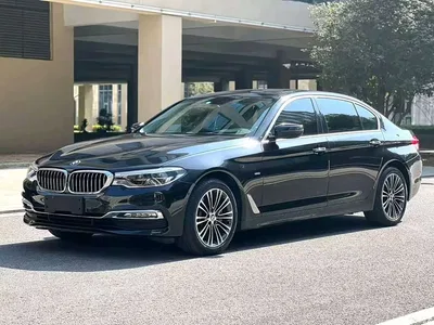 2019 BMW 5 Series 530Li Premium Luxury Package, фото 1, лот 11184020