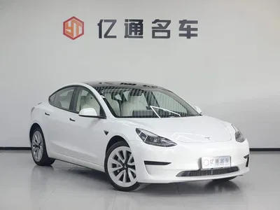 2021 Tesla Model 3 Standard Range Rear-Wheel Drive Upgrade, фото 3, лот 10356296