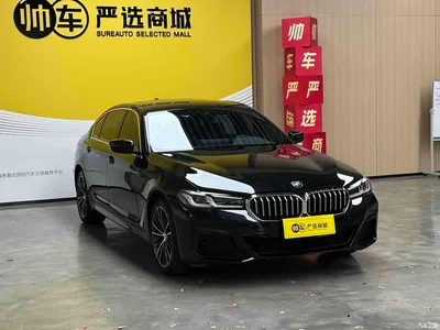 2022 BMW 5 Series 530Li Leading M Sport Package, фото 3, лот 10445994