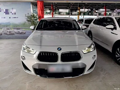 2019 BMW X2 (Import) sDrive20i M Off-Road Package China VI, фото 3, лот 10475566