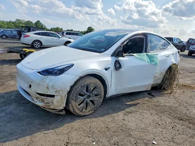 2024 TESLA MODEL Y, фото 1, лот 10854783
