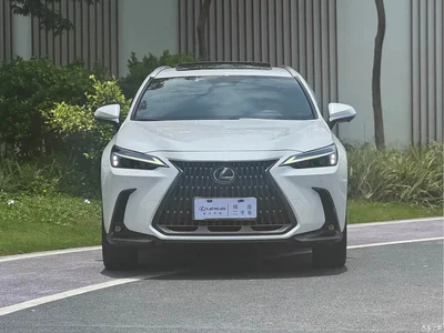 2023 Lexus NX 260 FWD Joy Creation Edition, фото 2, лот 10312533
