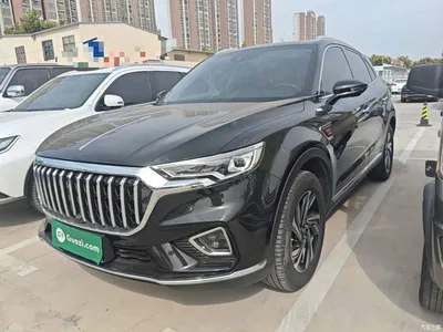 2022 Hongqi HS5 Facelift 2.0T Smart Flag Enjoyment Edition, фото 1, лот 10616445
