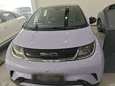 2023 BYD Dolphin 420km Fashion Edition, фото 3, лот 11408002