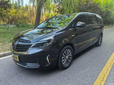 2020 Buick GL8 Model Land Business Class 652T Comfort, фото 1, лот 10252920