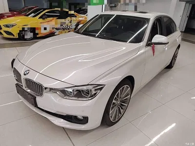 2019 BMW 3 Series 320Li Fashion Type, фото 2, лот 11133174