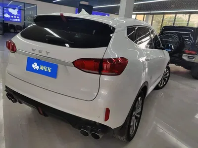 2018 WEY VV6 2.0T 2WD Super Luxury China V, фото 3, лот 11011404