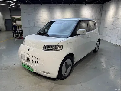 2020 Ora White Cat 360km Luxury Model, фото 1, лот 10331632