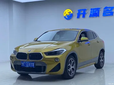 2019 BMW X2 (Import) sDrive20i M Off-Road Package China VI, фото 2, лот 10475574