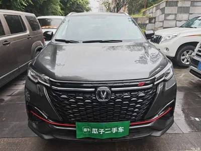 2021 Changan CS55 PLUS Blue Whale Edition 1.5T DCT Luxury, фото 3, лот 11067942