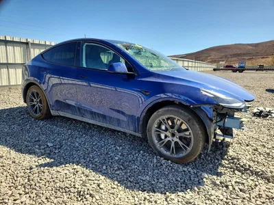 2025 TESLA MODEL Y, фото 4, лот 10856632