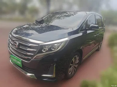 2020 GAC Trumpchi Trumpchi M8 Pilot 390T Prestige Edition, фото 1, лот 10689054