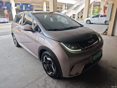 2021 BYD Dolphin Model 405km Fashion Edition, фото 4, лот 10264034