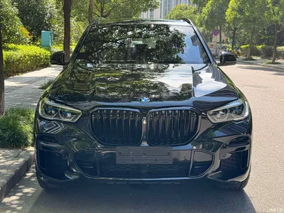 2022 BMW X5 Facelift xDrive 40Li M Sport Package, фото 2, лот 10428242