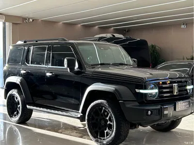 2021 Tank 300 Off-road Version 2.0T Conqueror, фото 3, лот 10449986