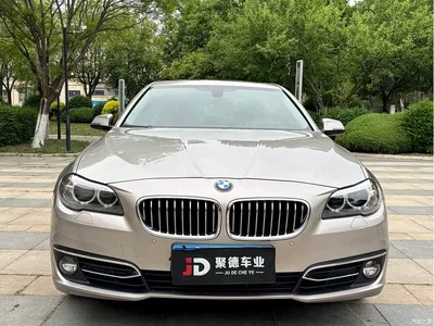 2014 BMW 5 Series 525Li Luxury Design Package, фото 2, лот 10444730
