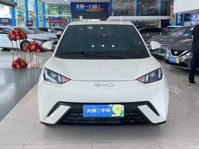 2024 BYD Seagull Glory Edition 305km Vitality Edition, фото 2, лот 10679731