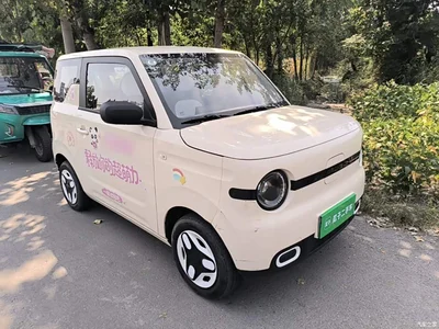 2025 Geely Galaxy Panda mini 210km Vitality Bear, фото 4, лот 10433219