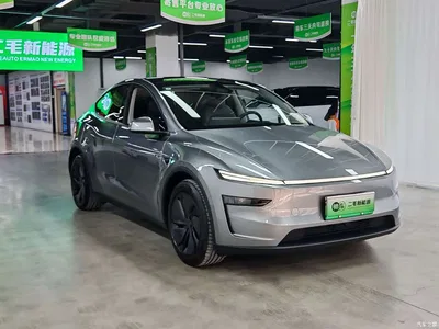 2025 Tesla Model Y Long Range All-Wheel Drive, фото 3, лот 10407710