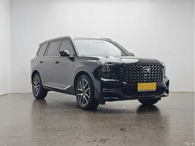2025 GAC Trumpchi Trumpchi GS8 Pilot Series 2.0TGDI 2WD Luxury Edition 5-seater, фото 2, лот 10415316
