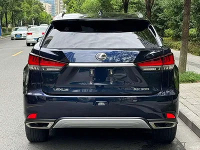 2020 Lexus RX 300 4WD Elegance Edition China VI, фото 4, лот 10405912