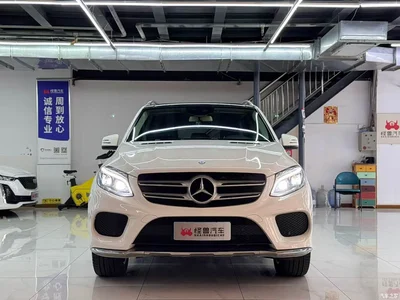 2017 Mercedes-Benz GLE 320 4MATIC Luxury, фото 2, лот 10297578