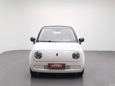 2021 Ora Black Cat 301km Basic Model, фото 3, лот 10330436