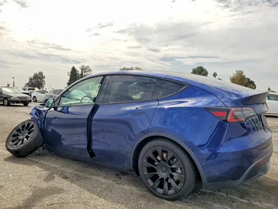 2021 TESLA MODEL Y, фото 2, лот 10855588