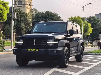 2021 Tank 300 Off-road Version 2.0T Conqueror, фото 1, лот 11188443