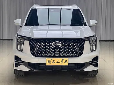 2024 GAC Trumpchi Trumpchi GS8 Navigator Series 2.0TGDI 2WD Luxury Smart Connect Edition, фото 2, лот 10416428