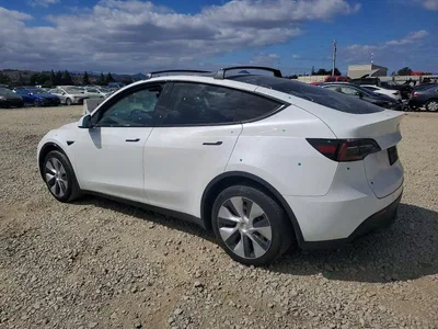 2023 TESLA MODEL Y, фото 2, лот 11239091