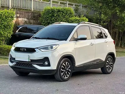 2019 Nezha Auto Nezha N01 380i, фото 1, лот 11164894