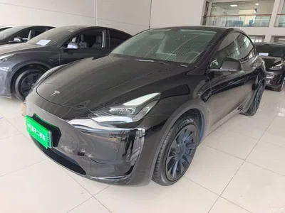 2022 Tesla Model Y Rear-Wheel Drive Version, фото 1, лот 10387487