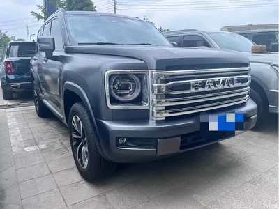 2024 Haval H9 2.0T Gasoline AWD Extreme Edition, фото 3, лот 10282859