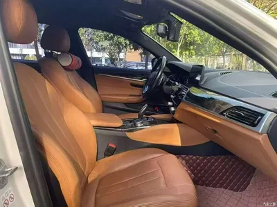 2018 BMW 5 Series 530Li Leading M Sport Package, фото 4, лот 10445567
