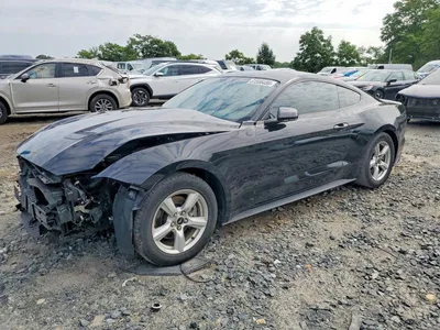 2019 FORD MUSTANG, фото 1, лот 10484930