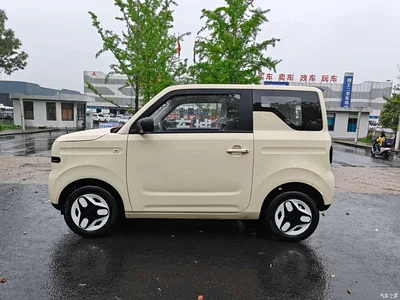 2025 Geely Galaxy Panda mini 210km Vitality Bear, фото 3, лот 10428735