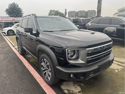2024 Haval Big Dog Model 1.5T DCT Labrador Edition, фото 3, лот 11140823