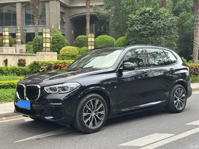 2022 BMW X5 (Import) xDrive30i M Sport Package, фото 1, лот 10422022