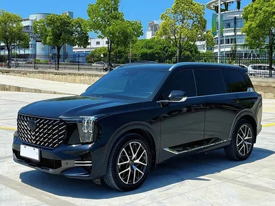 2022 GAC Trumpchi Trumpchi GS8 Pilot Series 2.0TGDI 4WD Luxury Smart Connect Edition (7-Seater), фото 1, лот 10420270