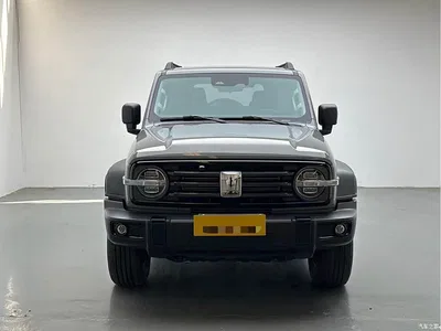 2021 Tank 300 Off-road Version 2.0T Conqueror, фото 2, лот 10346475
