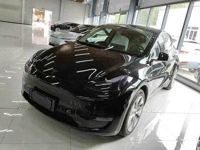 2021 Tesla Model Y Standard Range Rear-Wheel Drive, фото 1, лот 11081196